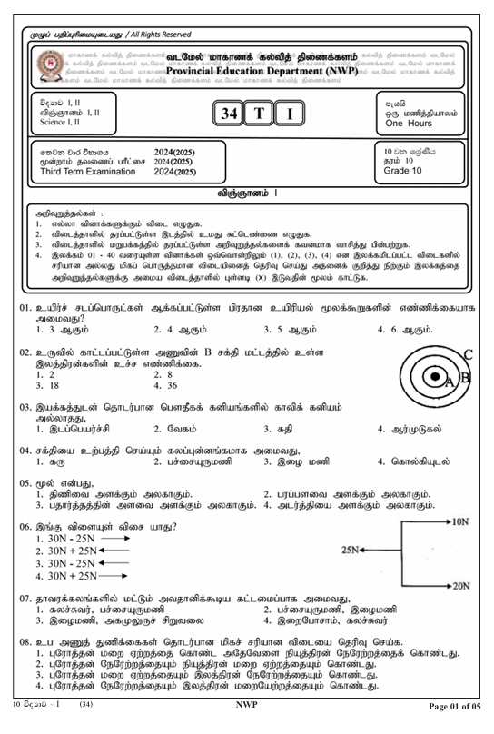 2024 Grade 10 Science Third Term Test Paper PDF in Tamil Medium