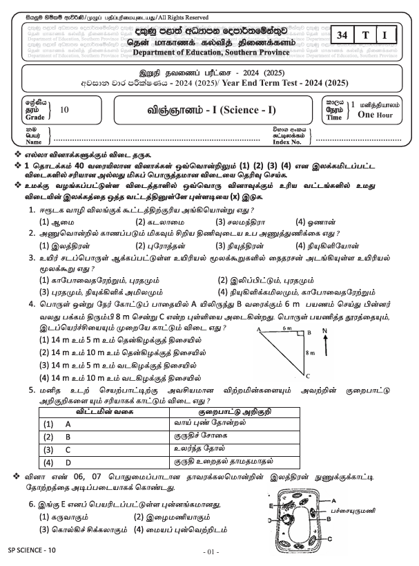 2024 Grade 10 Science Third Term Test Paper PDF in Tamil Medium