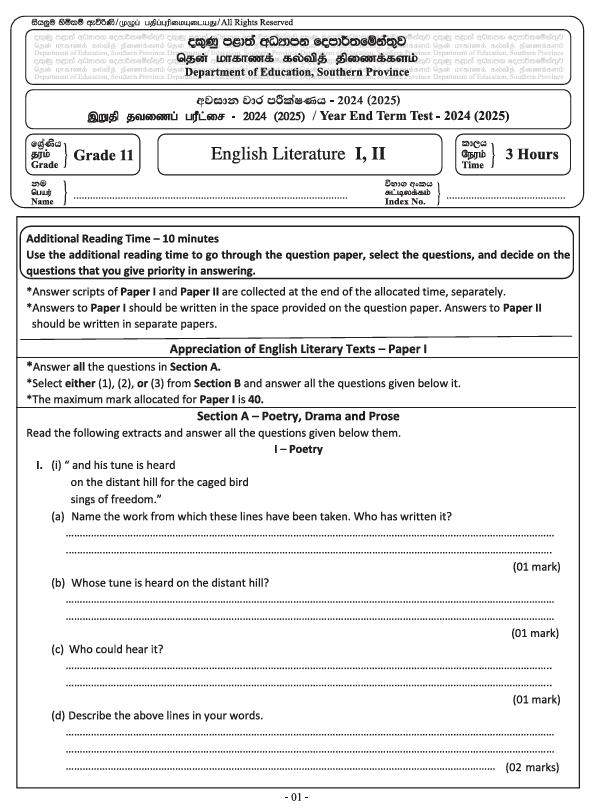 2024 Grade 11 English Literature Third Term Test Paper PDF
