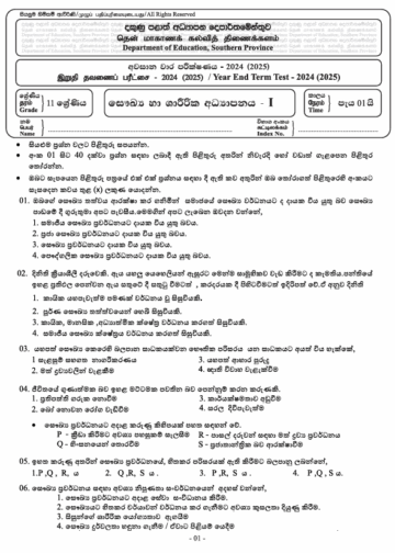 Southern Province 2024 Grade 11 Health 3rd Term Test Paper