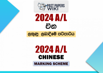 2024 A/L Chinese Marking Scheme