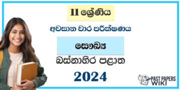 Western Province 2024 Grade 11 Health 3rd Term Test Paper