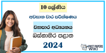 Western Province 2024 Grade 10 Business Studies 3rd Term Test Paper