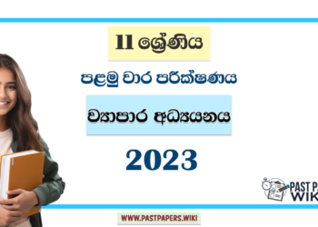 2023 Grade 11 Business Studies 1st Term Test Paper