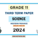 English Medium 2024 Grade 11 Science 3rd Term Test Paper Western Province
