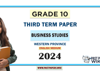 English Medium 2024 Grade 10 Business Studies 3rd Term Test Paper Western Province