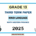 Grade 13 Hindi Language 3rd Term Test Paper 2025 | Northwestern Province