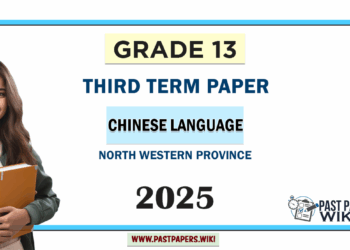 Grade 13 Chinese Language 3rd Term Test Paper 2025 | Northwestern Province