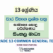Grade 13 Common General Test Term Test Papers | Sinhala Medium