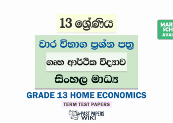 Grade 13 Home Economics Term Test Papers | Sinhala Medium