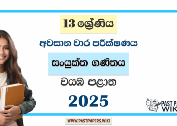 Grade 13 Combined Maths 3rd Term Test Paper 2025 | Northwestern Province