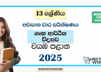 Grade 13 Home Economics 3rd Term Test Paper 2025 | Northwestern Province