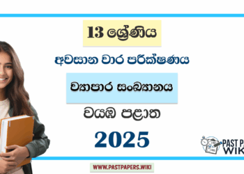 Grade 13 Business Statistics 3rd Term Test Paper 2025 | Northwestern Province