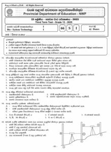 Grade 13 BST 3rd Term Test Paper 2025 | Northwestern Province