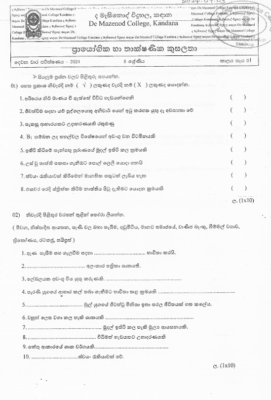 2024 Grade 06 PTS Second Term Test Paper PDF in Sinhala Medium