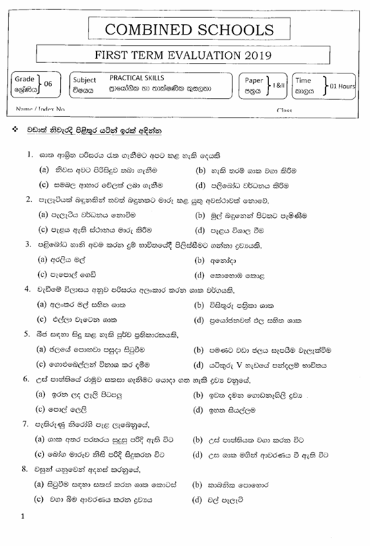 2019 Grade 06 PTS First Term Test Paper PDF in Sinhala Medium