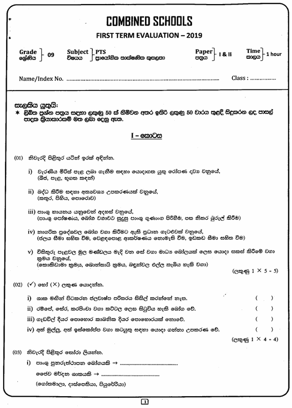 2019 Grade 09 PTS First Term Test Paper PDF in Sinhala Medium
