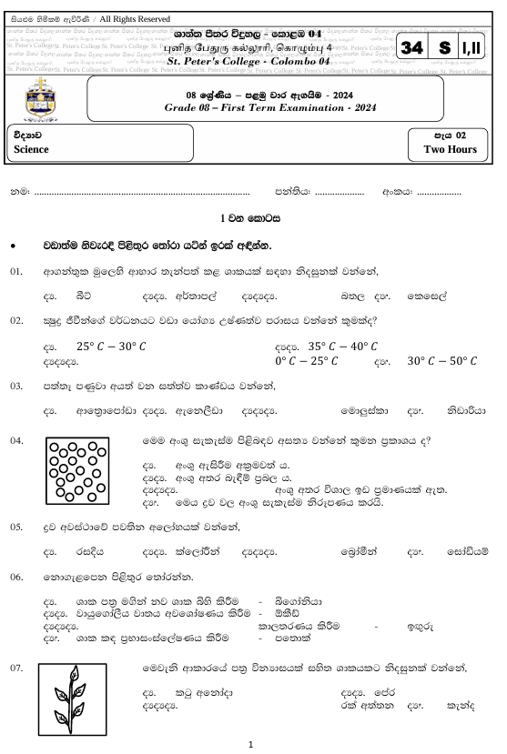 2024 Grade 08 Science First Term Test Paper PDF in Sinhala Medium