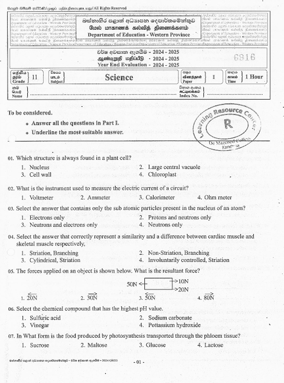 2024 Grade 11 Science Third Term Test Paper PDF In English Medium