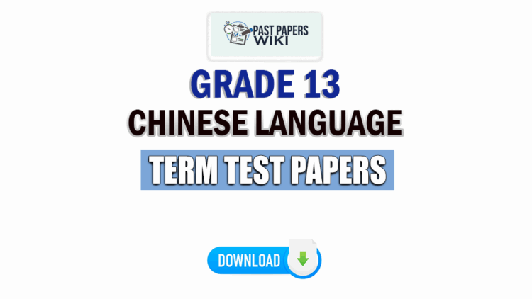 Grade 13 Chinese Language Term Test Papers