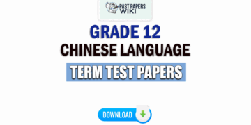 Grade 12 Chinese Language Term Test Papers