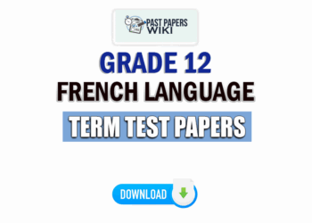 Grade 12 French Language Term Test Papers