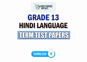 Grade 13 Hindi Language Term Test Papers