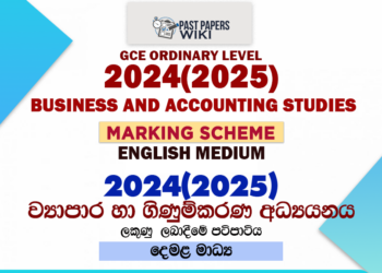 2024(2025) O/L Business and Accounting Studies Marking Scheme | English Medium