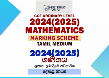2024(2025) O/L Mathematics Marking Scheme | Tamil Medium