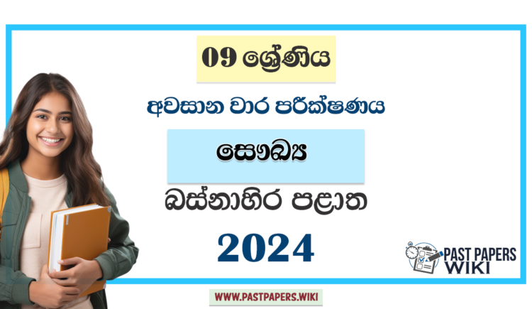 Western Province 2024 Grade 09 Health 3rd Term Test Paper