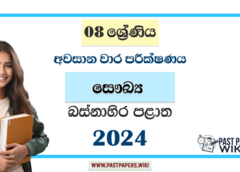 Western Province 2024 Grade 08 Health 3rd Term Test Paper