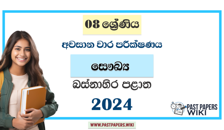 Western Province 2024 Grade 08 Health 3rd Term Test Paper