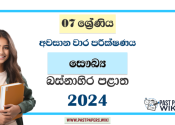 Western Province 2024 Grade 07 Health 3rd Term Test Paper