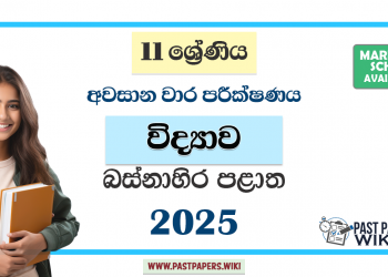 Western Province 2025 Grade 11 Science 3rd Term Test Paper