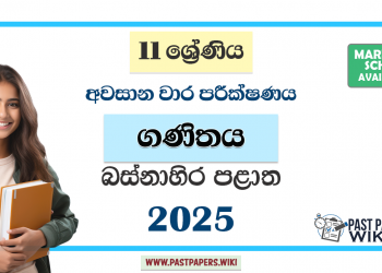 Western Province 2025 Grade 11 Mathematics 3rd Term Test Paper