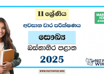 Western Province 2025 Grade 11 Health 3rd Term Test Paper