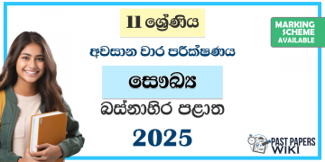 Western Province 2025 Grade 11 Health 3rd Term Test Paper