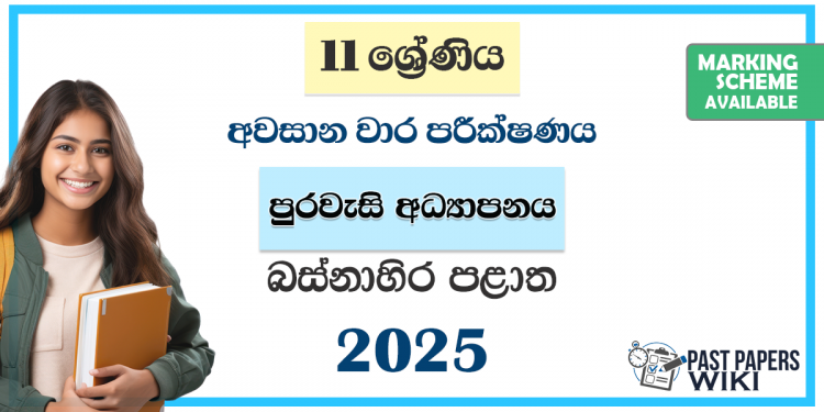 Western Province 2025 Grade 11 Civic Education 3rd Term Test Paper