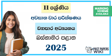 Western Province 2025 Grade 11 Business Studies 3rd Term Test Paper