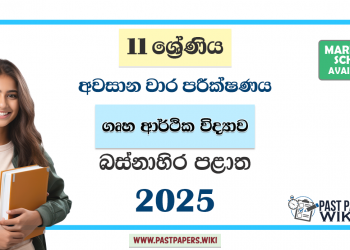 Western Province 2025 Grade 11 Home Economics 3rd Term Test Paper