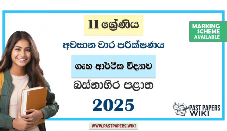 Western Province 2025 Grade 11 Home Economics 3rd Term Test Paper