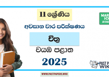 North Western Province 2025 Grade 11 Art 3rd Term Test Paper