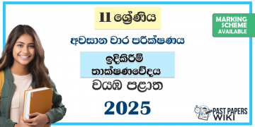 North Western Province 2025 Grade 11 Construction Technology 3rd Term Test Paper