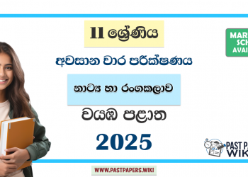 North Western Province 2025 Grade 11 Drama 3rd Term Test Paper