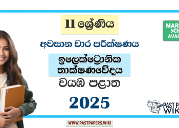 North Western Province 2025 Grade 11 Electronic Technology 3rd Term Test Paper
