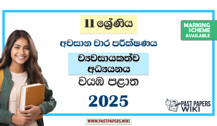 North Western Province 2025 Grade 11 Entrepreneurship Studies 3rd Term Test Paper