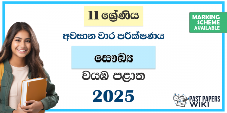 North Western Province 2025 Grade 11 Health 3rd Term Test Paper