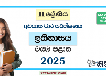 North Western Province 2025 Grade 11 History 3rd Term Test Paper