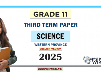 English Medium 2025 Grade 11 Science 3rd Term Test Paper Western Province