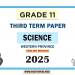 English Medium 2025 Grade 11 Science 3rd Term Test Paper Western Province